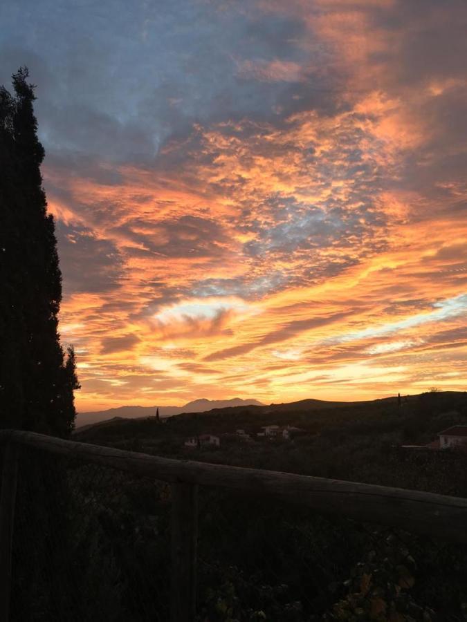 La Higuera Chica Casa vacanze Málaga